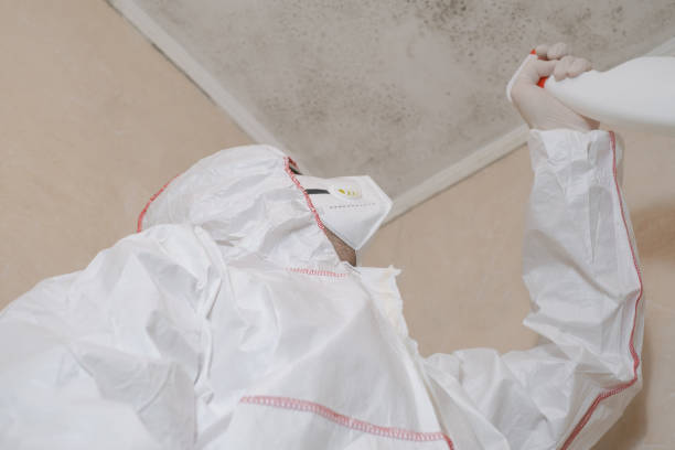 Best Post-Flood Mold Remediation in Clearfield, UT